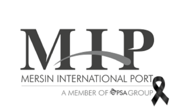 mip